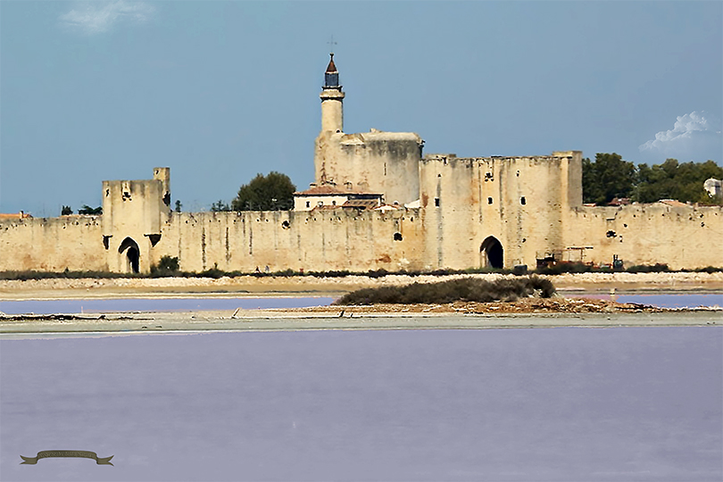 Camargue 